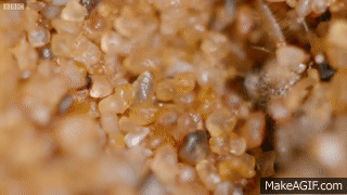 UiJAnV.gif