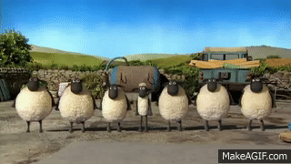 Urodzinowy Taniec Dla Baranka On Make A Gif