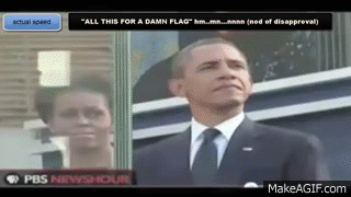 Image result for obama michelle flag all this flag gif