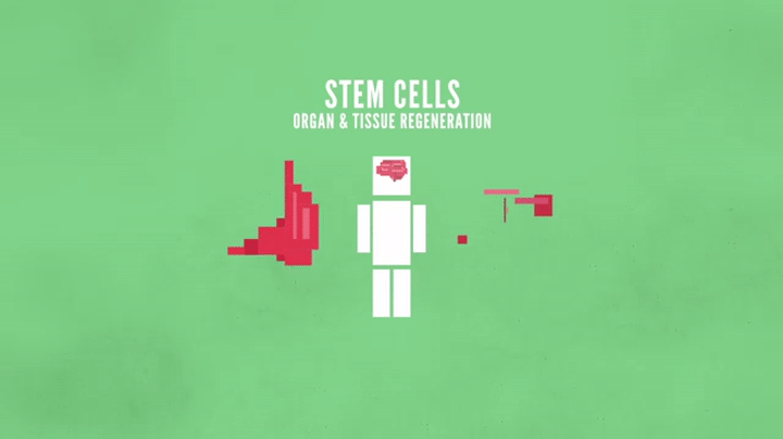 WHAT CAN STEM CELLS DO? on Make a GIF WHAT CAN STEM CELLS DO? on Make a GIF