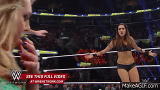 Charlotte brie bella vs Divas Champion