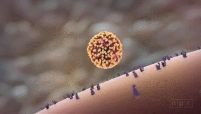 Flu Attack! How A Virus Invades Your Body on Make a GIF