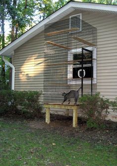 Cats Stuff Window Cat Door And Cat Aviary For Inside Cats On