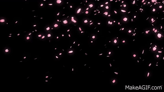 Featured image of post Transparent Background Cherry Blossom Petals Falling Gif