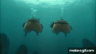 Pool Inflation Animation SK inflation main on Make a GIF
