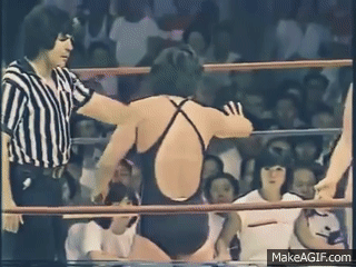 レスリング　gif 