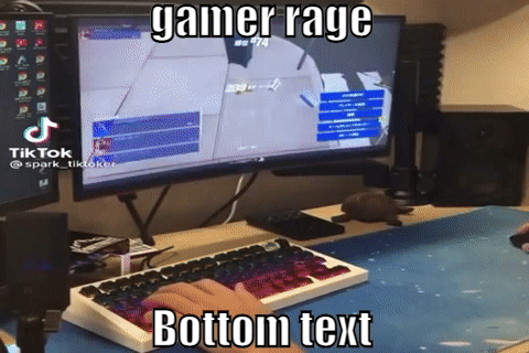 Gamer Rage GIFs