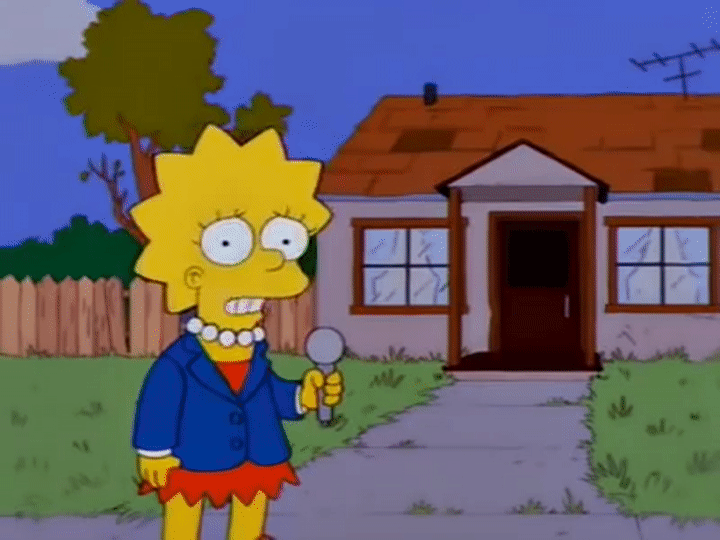 Crazy Cat Lady The Simpsons on Make a GIF.