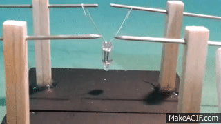Hertz Experiment on Electromagnetic Waves on Make a GIF
