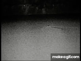 wODdaI.gif