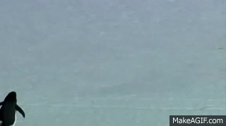 https://i.makeagif.com/media/3-02-2015/zVR1zJ.gif
