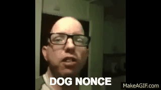 Image result for dog nonce gif