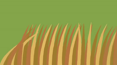 Grass Dancing in the Wind on Make a GIF