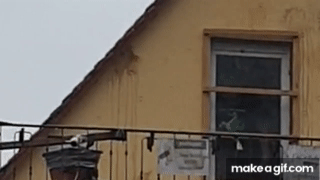 5xsLxa.gif