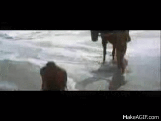 planet of the apes ending gif