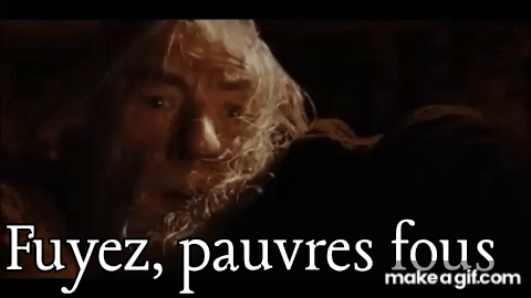 Le Seigneur Des Anneaux Fuyez Pauvres Fous On Make A GIF
