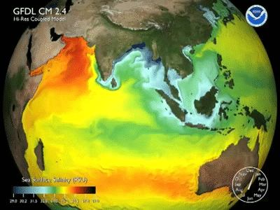 Sea Surface Salinity Simulation (Indian Ocean) on Make a GIF