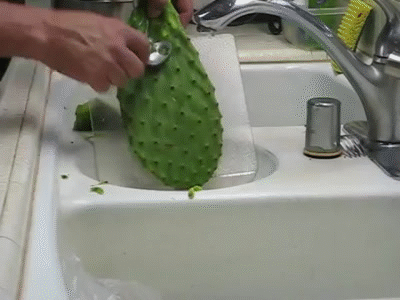 Cuchara Peladora De Nopales / Cactus Peeler Spoon / Cuchara Pela nopales