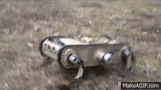 Robot rhex