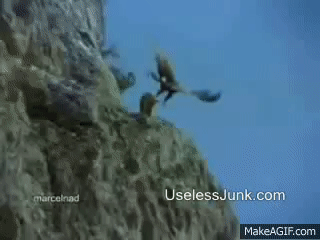 Eagle Vs Mountain Goat Amazing Footage Full Clip Hi Def