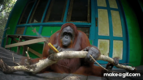 Monkey-robot GIFs - Find & Share on GIPHY