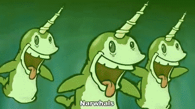 cute narwhal gif