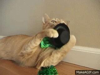 Happy St. Patrick's Day from my cat! on Make a GIF