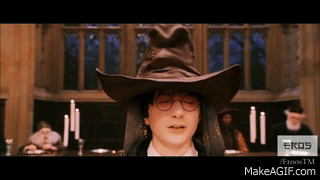 Harry potter ha sido seleccionado a la casa de GRYFFINDOR, una casa que le mostrara la lealtad de el a sus amigos, el amor,