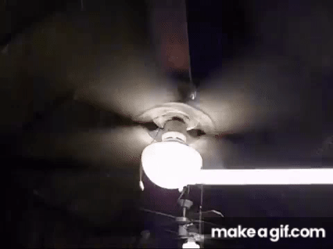 This Fan Does Wobble On Make A Gif