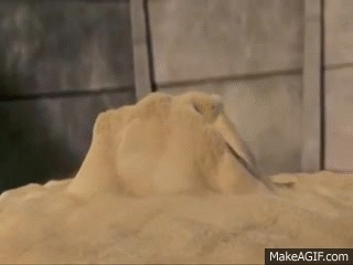 vK90AJ.gif