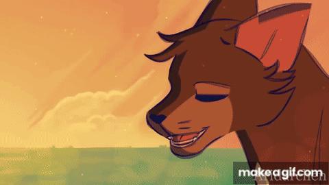 Warrior Cats Completed Friendship MAP- You Get Me on Make a GIF