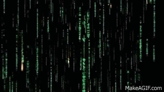 Matrix Rain GIF Loop