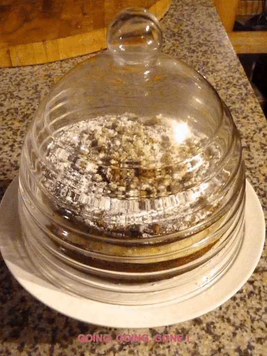 The mystery of the vanishing Walnut cake..... on Make a GIF