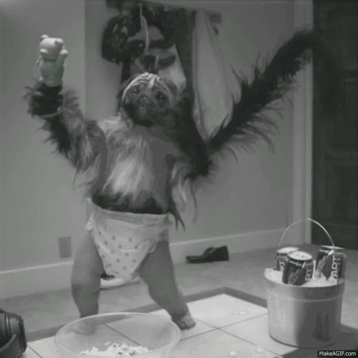 Dancing Puppy Monkey Baby Gif Apsgeyser