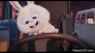 The Secret Life Of Pets - Snowball Funny Moments HD on Make a GIF