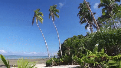 Islands of Paradise" Fiji 1 HR Sounds) Tropical Relaxation Video 1080p on a GIF
