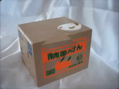 alcancia de gato.wmv on Make a GIF