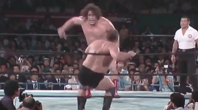 レスリング　gif 