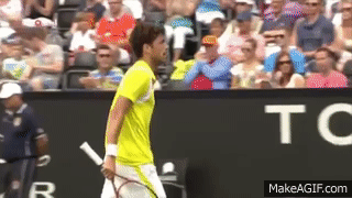 qkJUrq.gif