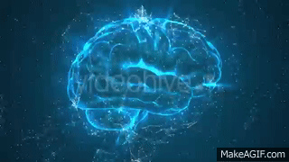 rotating brain gif
