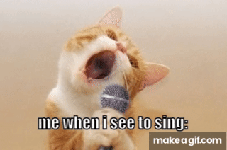 i believe daruma air force 1