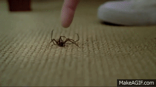 Mentos Spider Commercial . Funny . HD 720p on Make a GIF
