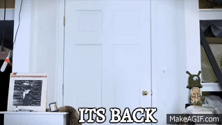 its back on Make a GIF