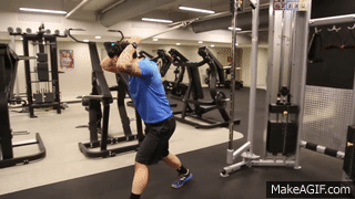 Back - Standing Rope Tricep Extension From A High Cable on Make a GIF