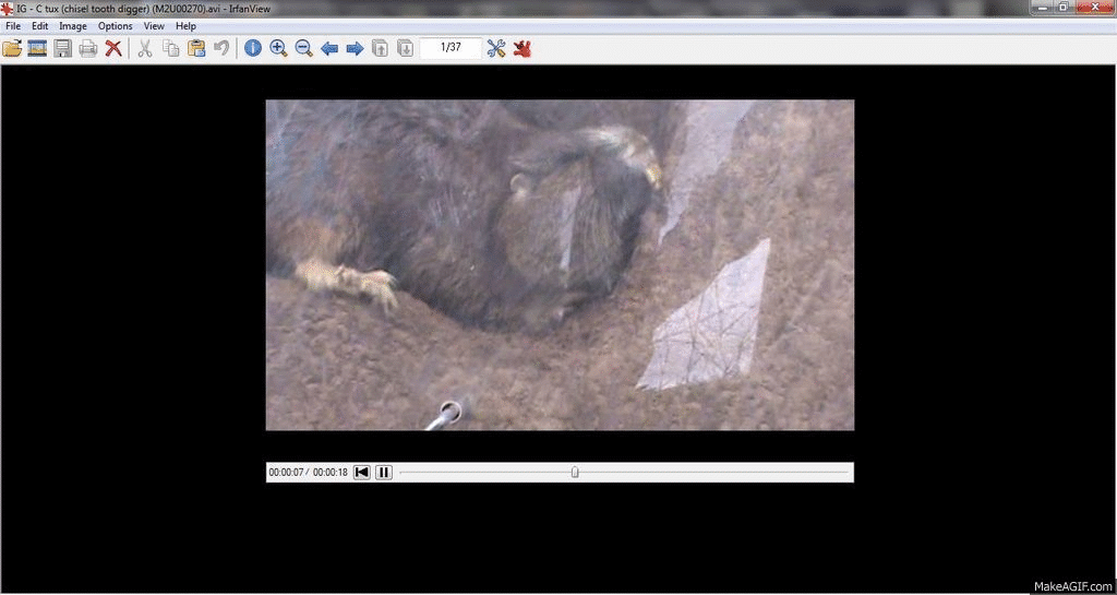 Chisel toothdigging on Make a GIF