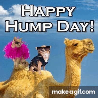 Happy hump day on make a gif