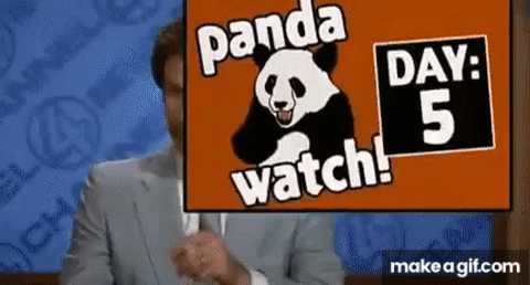 Panda Watch! on Make a GIF