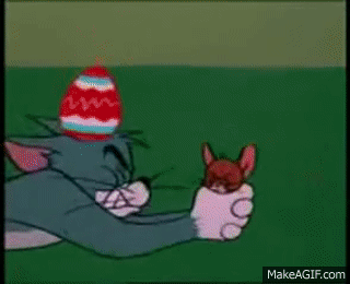 Tom N Jerry GIFs