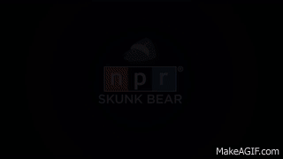 What Does Sound Look Like? | SKUNK BEAR on Make a GIF