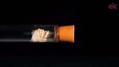 Diffusion in action | The reaction of ammonia and hydrogen chloride ...